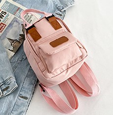Canvas Mini Bag in Pink