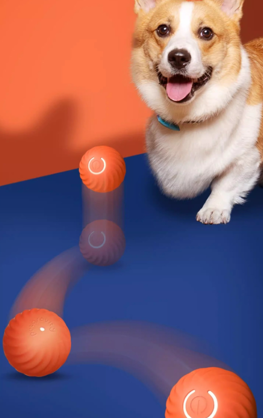 SmartDog Ball Image 5