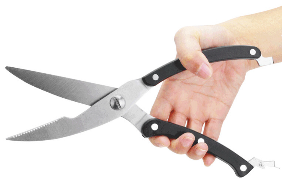Stainless Steel Scissors