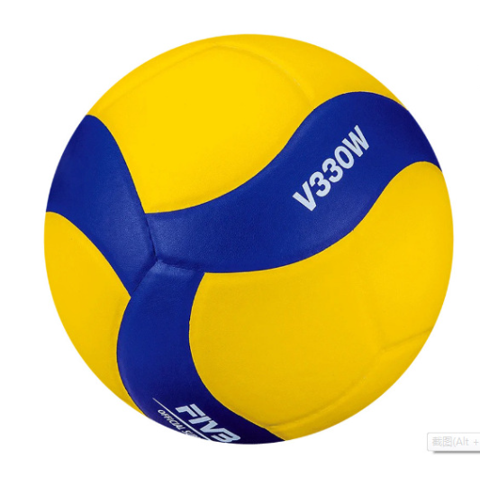 Volleyball Image 3