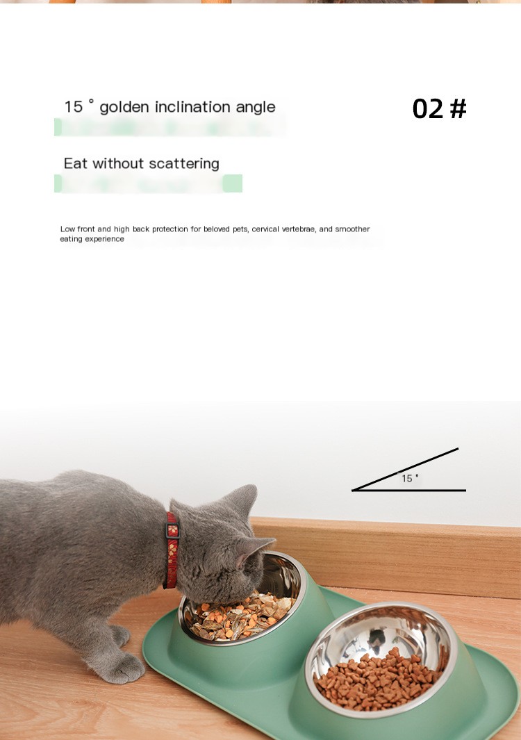 Elevated Dinner Bowl Example