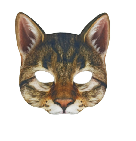 Cat Mask 9