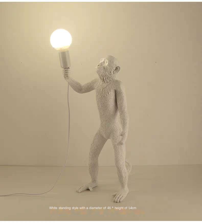 Indoor Monkey Lighting