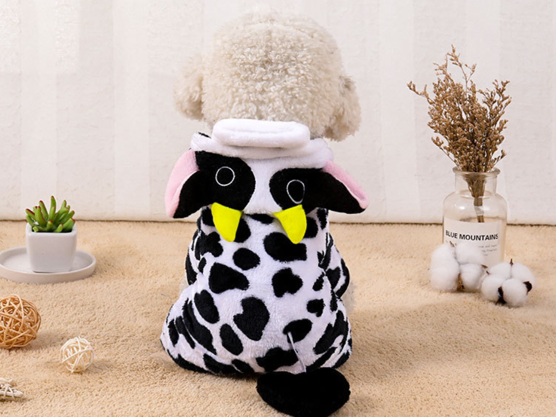 Pet Transformation Outfit Image 4