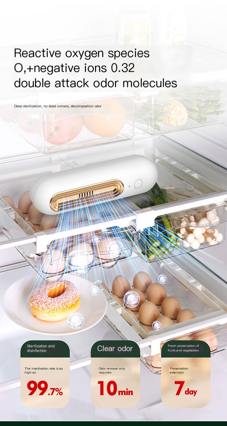 Ozone Deodorizer
