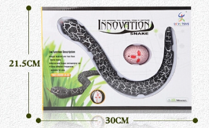 Playing with Prank Snake Toy