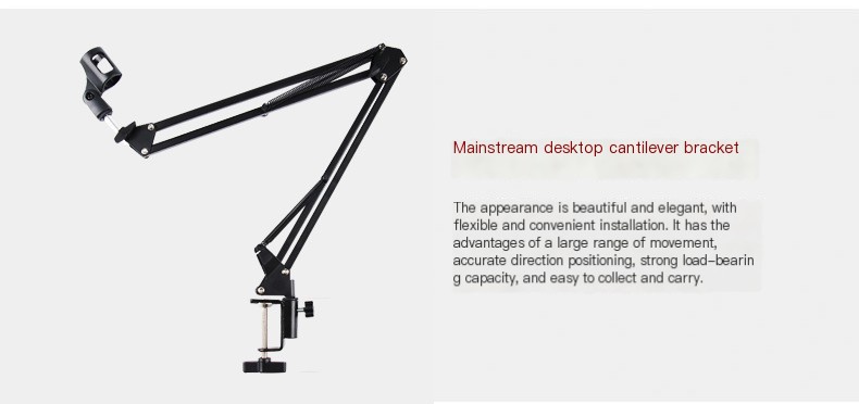 Microphone Stand 2