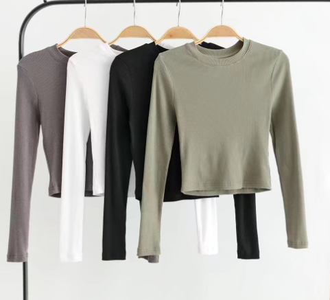 Cropped Long Sleeve T-shirt in Gray