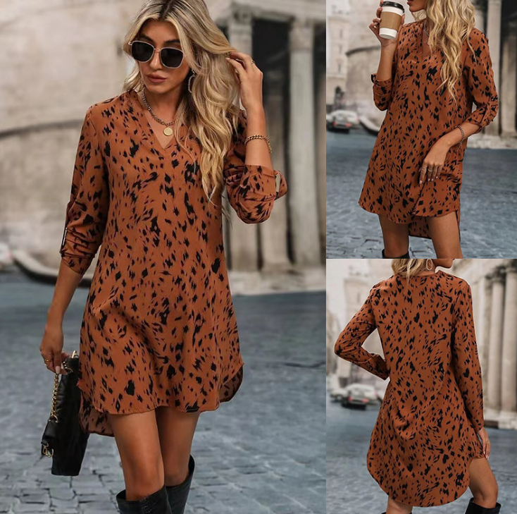 Leopard Print Dress Image 1