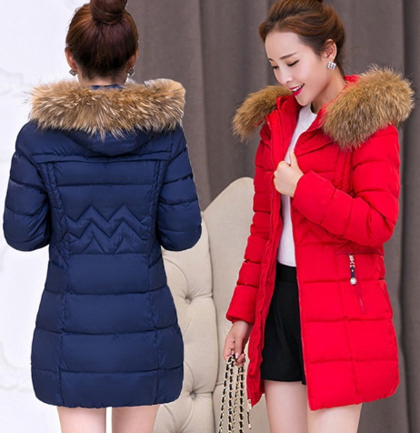 Coat Image 2