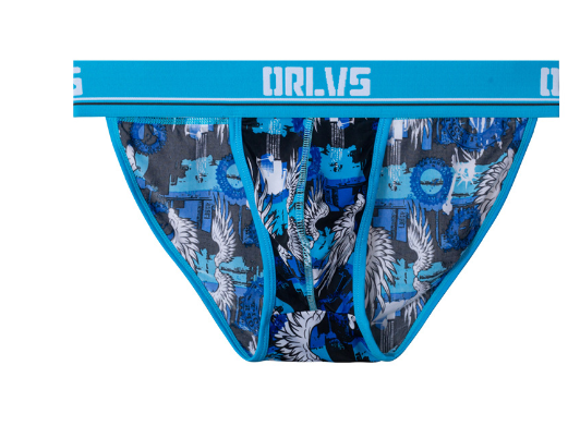 T pants thong style 6
