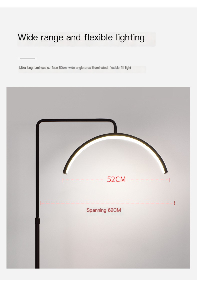 LED Beauty Floor Lamp