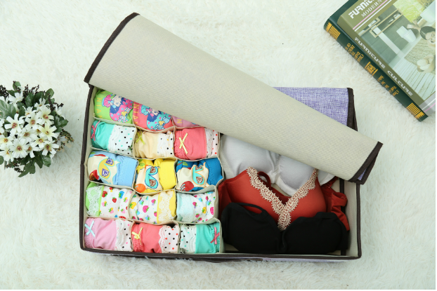 Storage Box Pink and Red