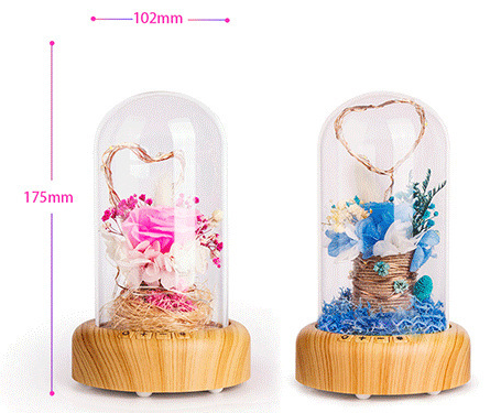 Wishing Streamer Bluetooth Speaker Night Light