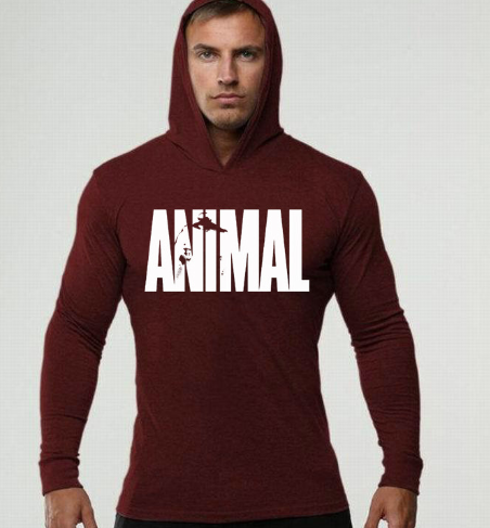Men's Fitness Long Sleeve Hooded Sweatshirt Image 4