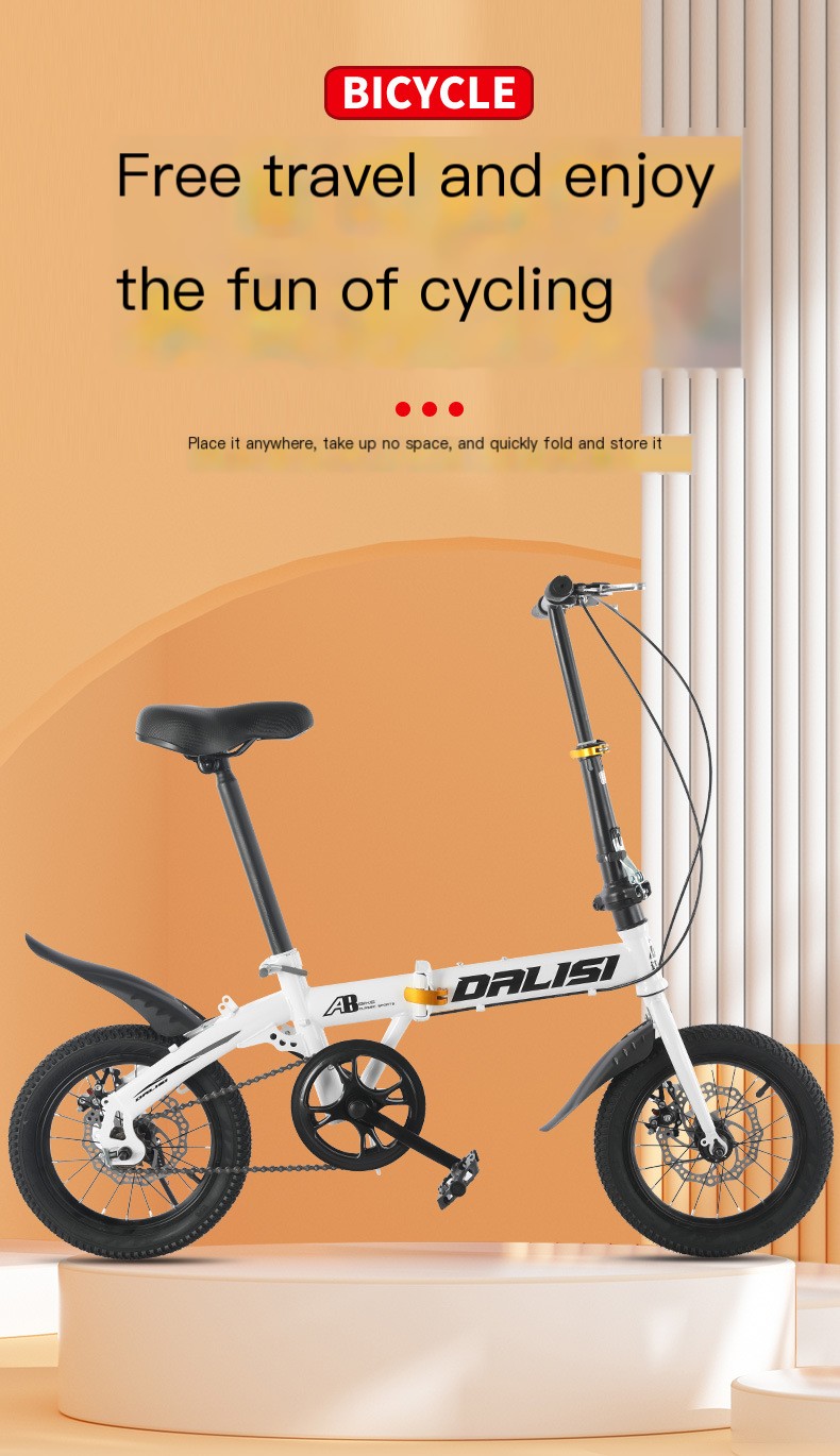 Cycling City Folding Bicycle in Use