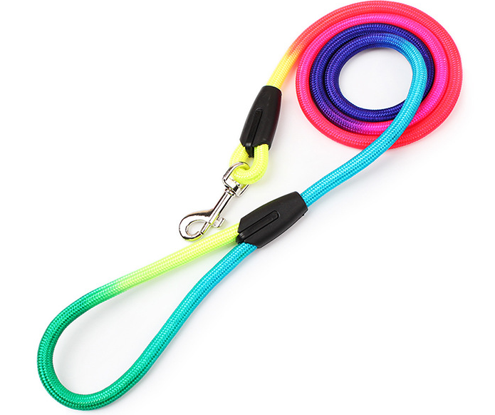 Colorful Pet Leash 1