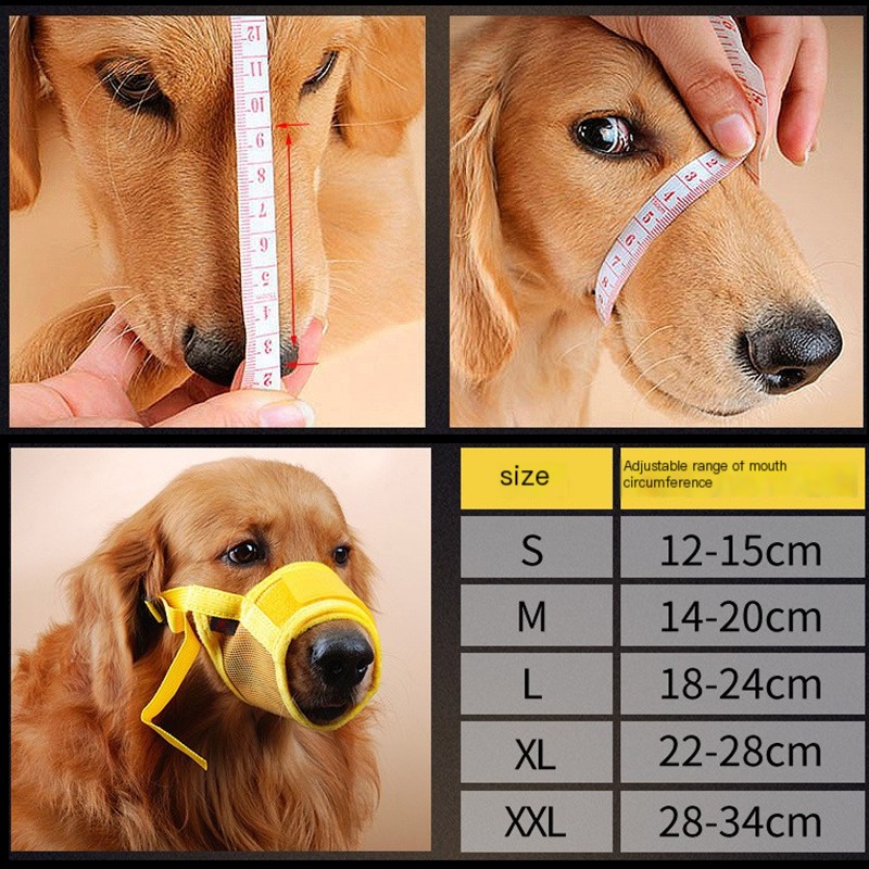 Muzzle Comfort Image 1