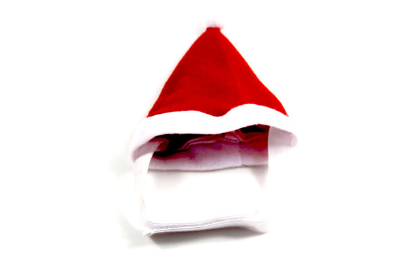 Pet wearing a festive hat