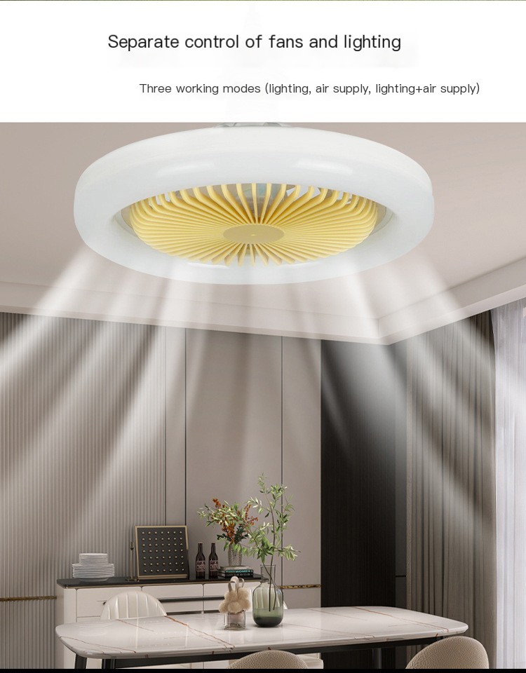 Ceiling Fan Light Image 2