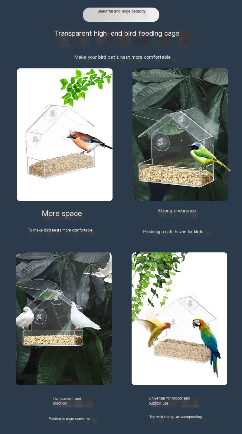 Transparent Bird Feeder