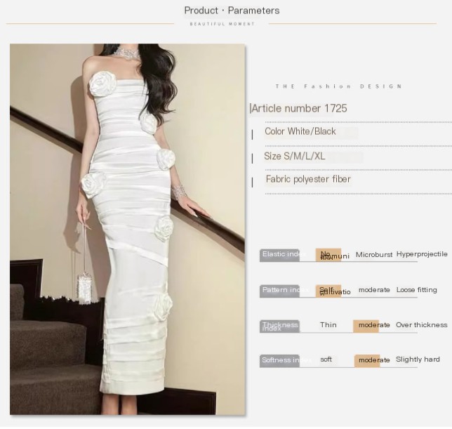 Women's Fashionable Dress 1