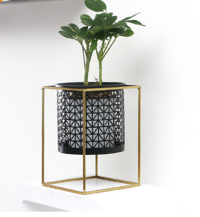Flower Pot Image 4