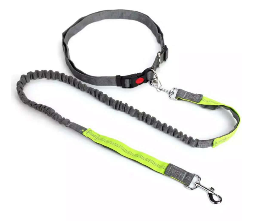 Pet Leash Set Image 1