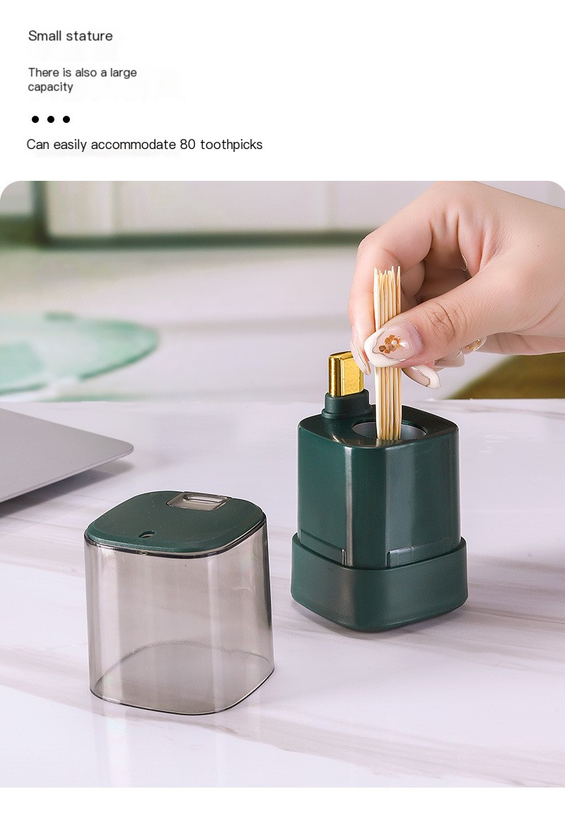 Toothpick Box Image 1