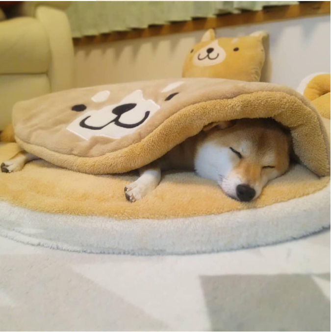 Short Plush Pet Mat Image 3