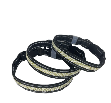 Dog LED Light Up Collar