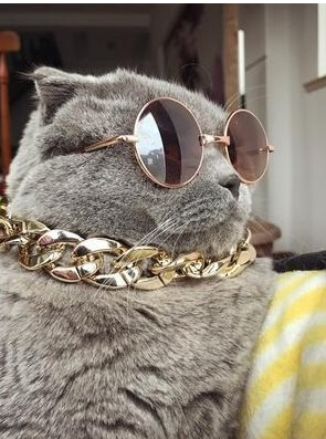 Pet Necklace Image 4