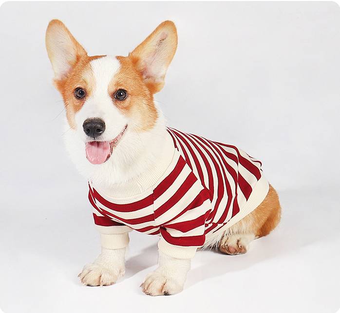 Pet Clothing Blue