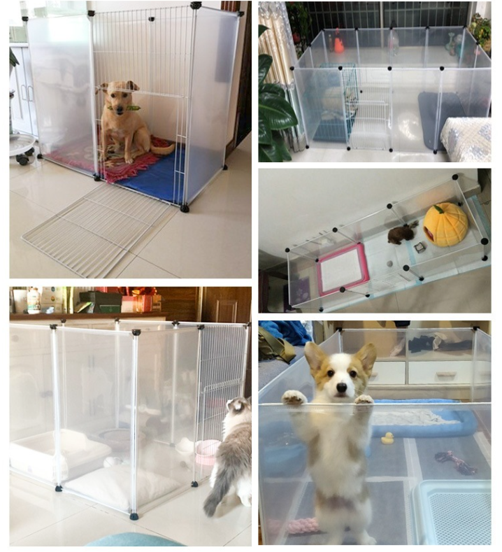 Pet Transparent Fence Image 2