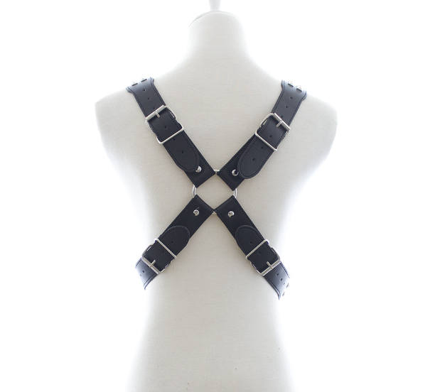 Bondage Bodysuit Image 5