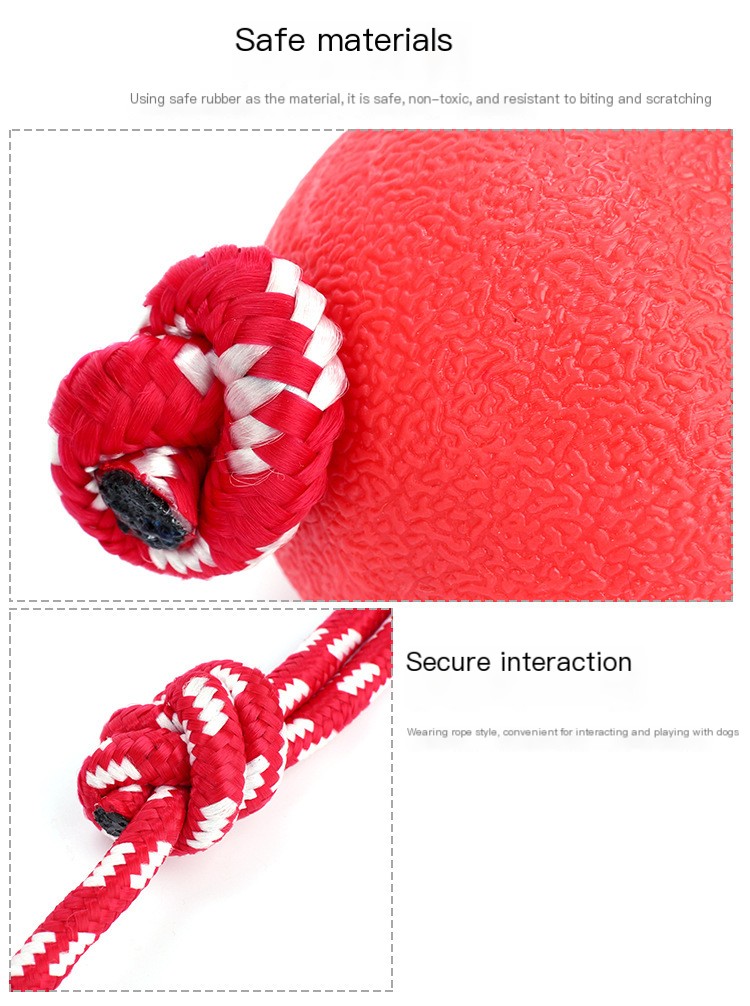 Medium bouncing ball with rope