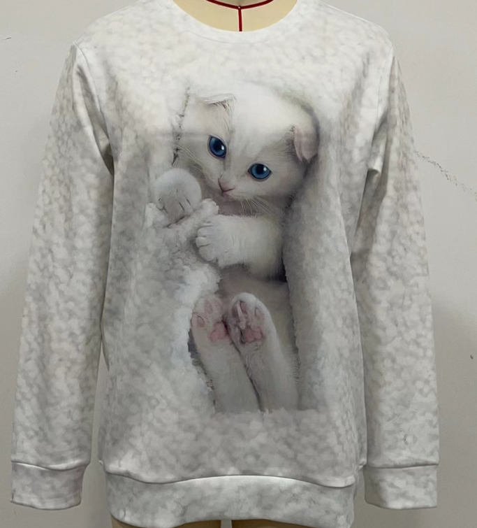Women's Sweatshirt 2