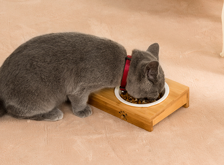 Pet Double Bowl 5
