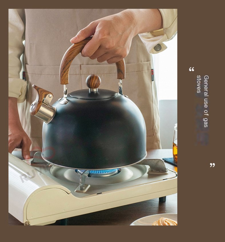 Stainless Steel Kettle 8