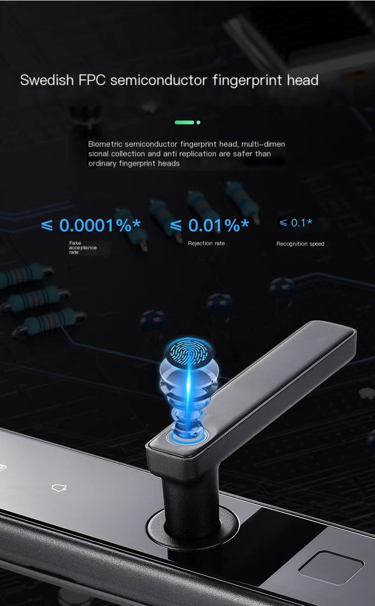 Graffiti WIFI Home Security Door Password Fingerprint Lock Apartment Homestay Remote Management All Lock TTLOCK Door Lock