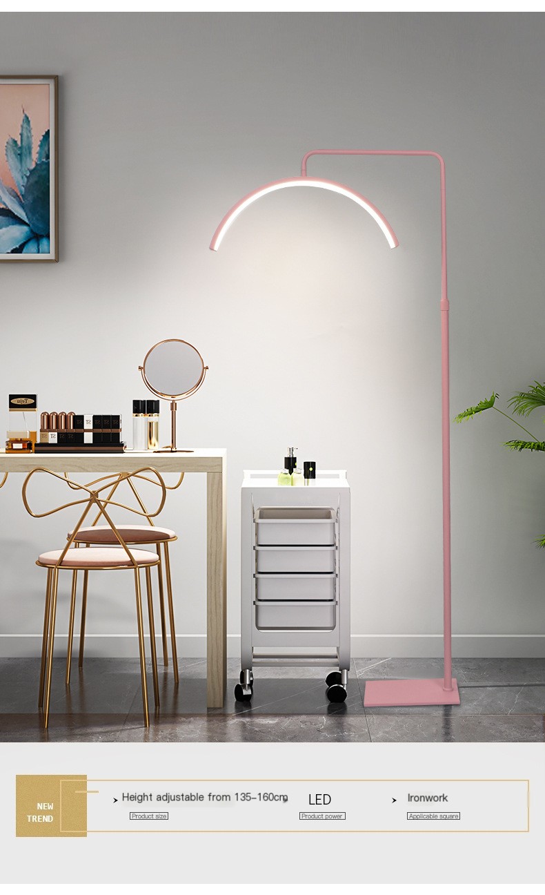 LED Beauty Floor Lamp