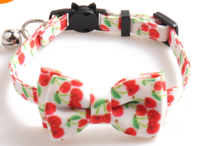Color Pet Collar 4