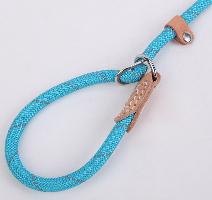 Reflective Dog Leash Pink