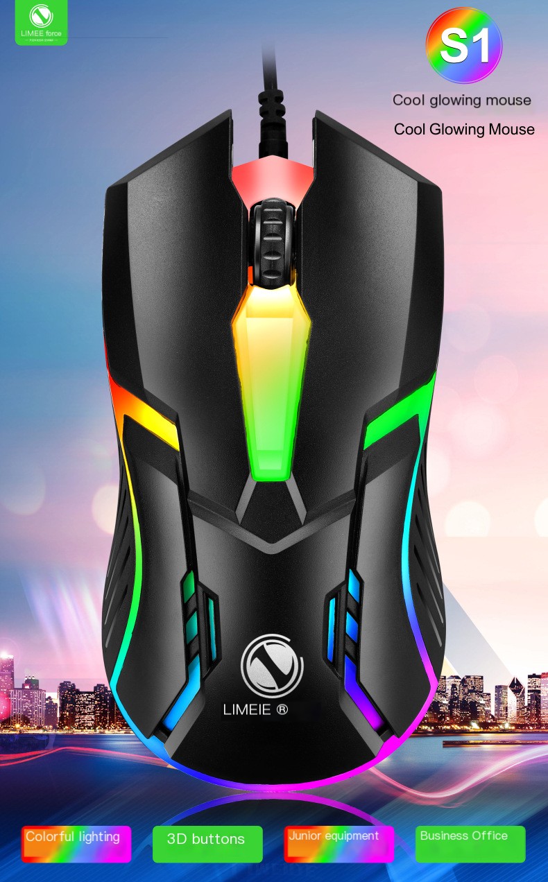 S1 Mouse Image 1