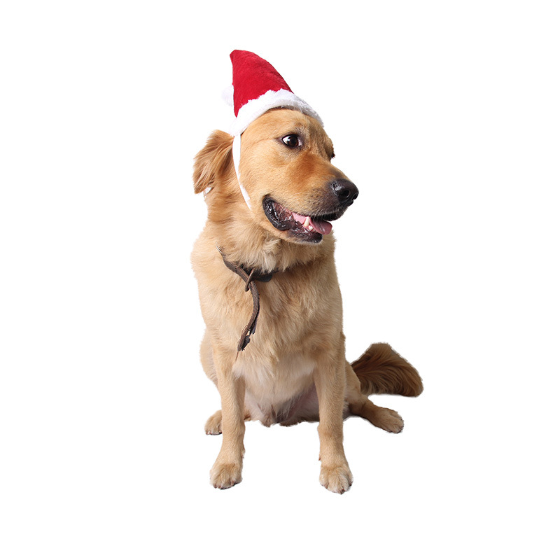 Cozy Plush Christmas Hat