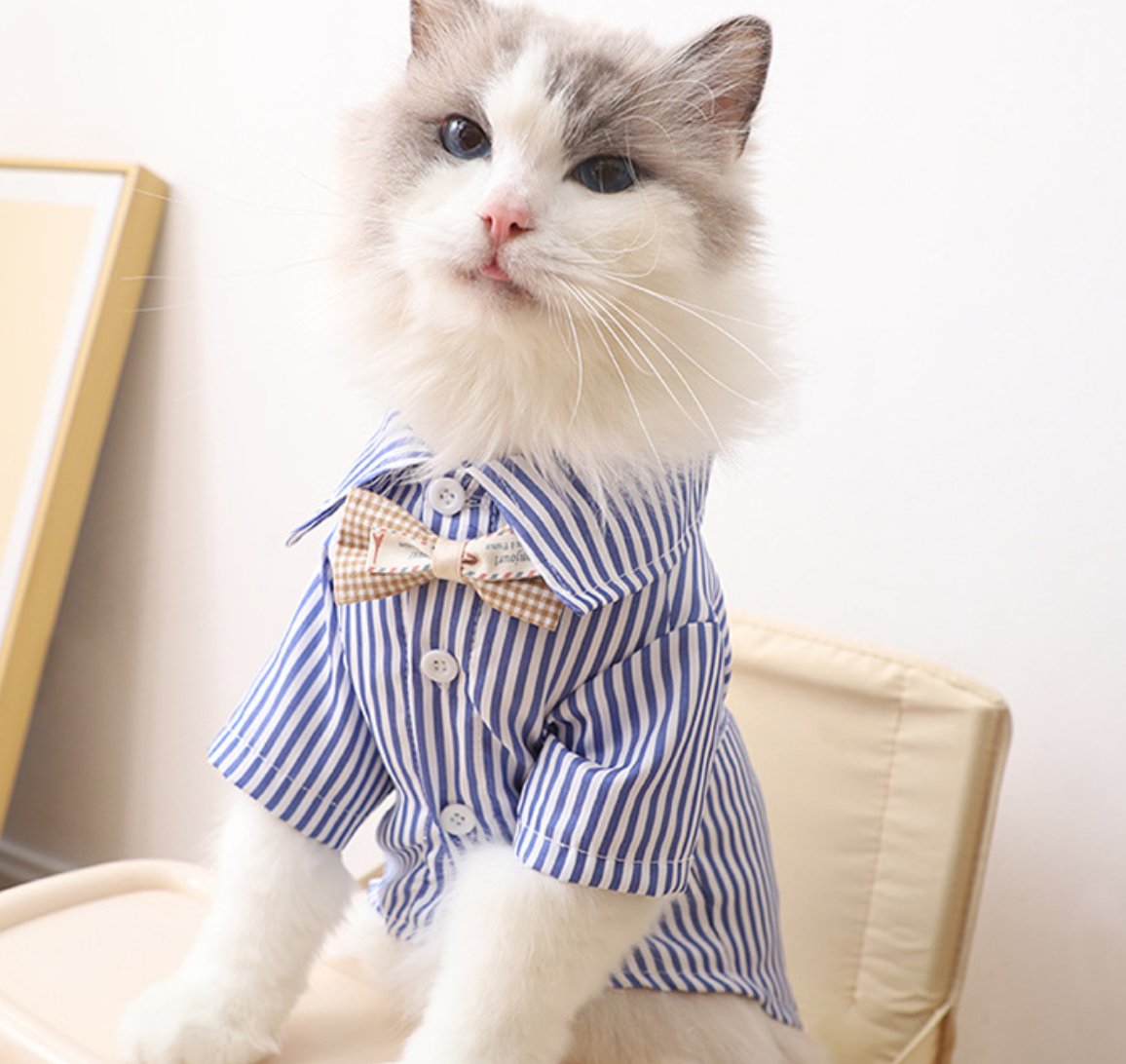 Pet Clothing Image 4