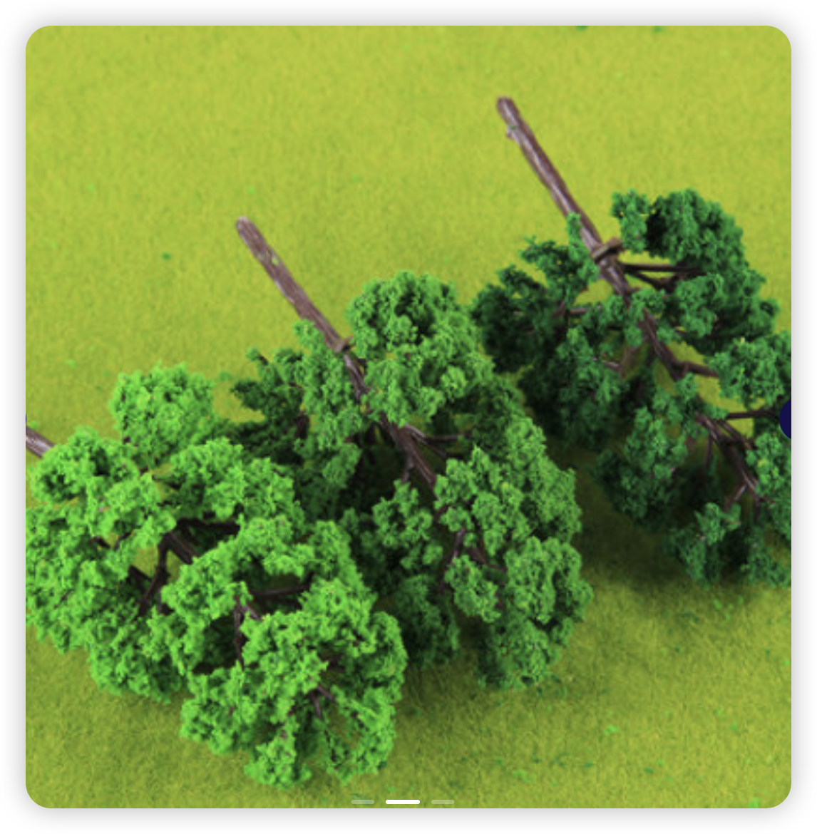 Fir Pine Model Tree Image 1