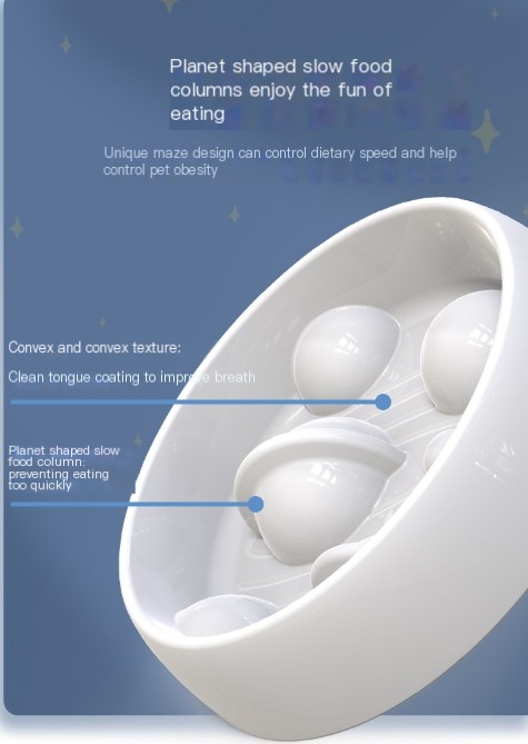 Amazon Starry Sky Slow Food Dog Bowl - Image 3