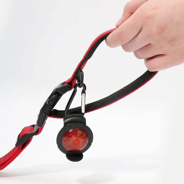 Close-up of Dog Leash