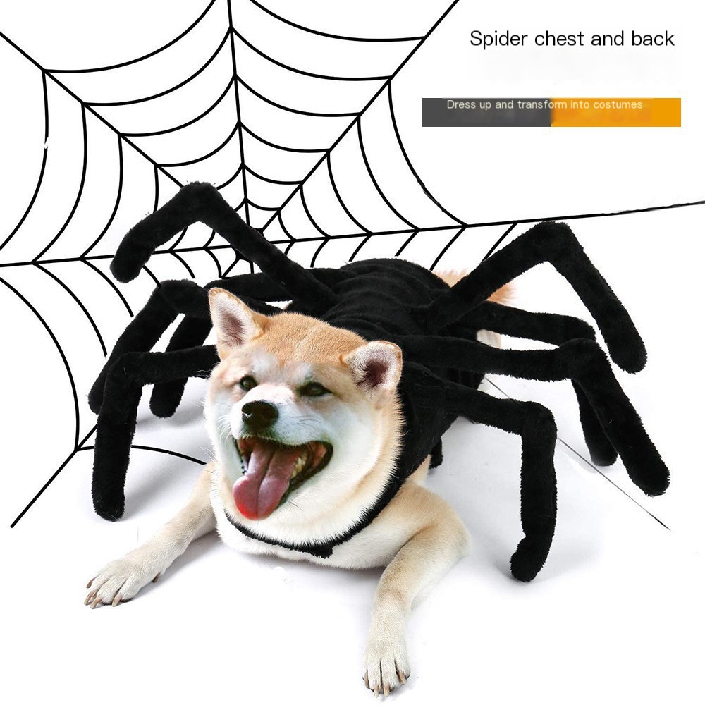 Pet Costume 1